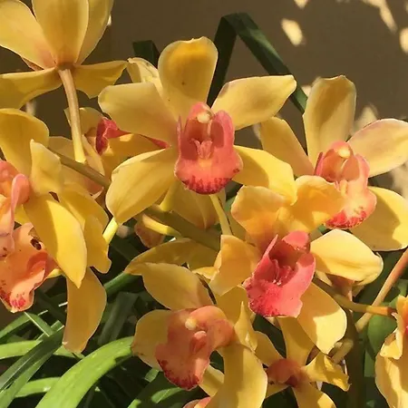 A Creuza ゲストハウス