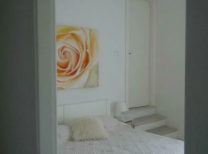 A Creuza サヴォーナ